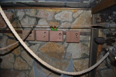 ארבע תיבות על הקיר המזרחי, במקום אחת שהיתה שם, עם אפשרות להגדלה..