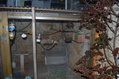 מבט מחוץ לכלוב על הקירות המזרחי והצפוני