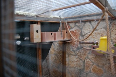 מבט מבחוץ על הקיר המערבי