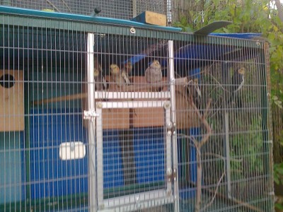 13032012026ה.jpg