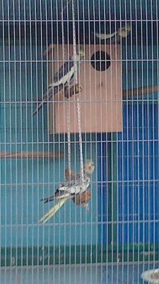 13032012027-001.jpg