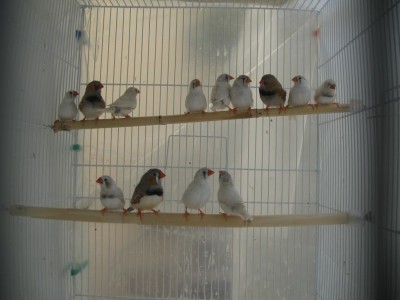 חתיכים וחתיכות :)