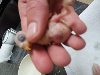 2012-04-30 14.20.45.jpg