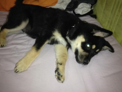 תמונה 001 (Large).jpg