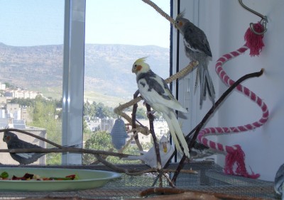 נהנים מהנוף..