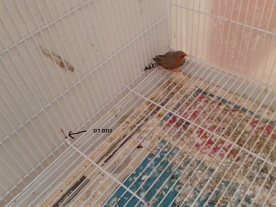 2012-05-14 10.39.37.jpg