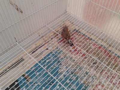 2012-05-14 10.39.53.jpg