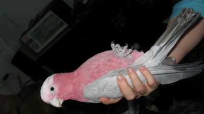 IMG_2282_1.jpg