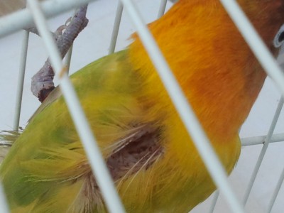 2012-06-08 08.44.081.jpg