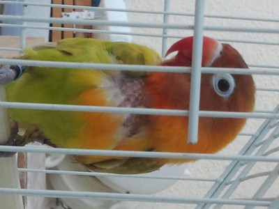 2012-06-08 08.45.211.jpg