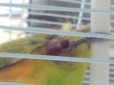 2012-06-08 08.46.051.jpg