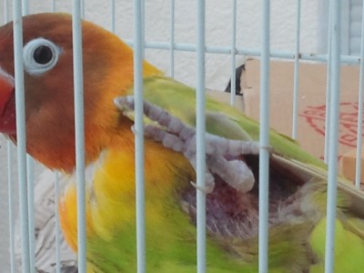 2012-06-08 08.46.381.jpg