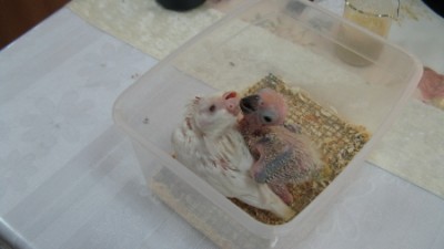 IMG_2286_1.jpg