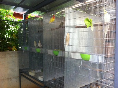 IMG_1236 (855 x 639)11111.jpg