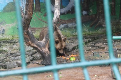 IMG_5653 (Small).JPG