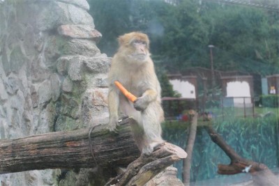 IMG_5676 (Small).JPG