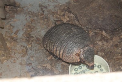 IMG_5863 (Small).JPG