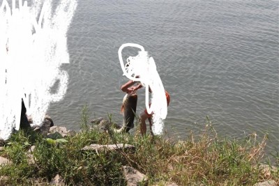 IMG_5987 (Small).JPG