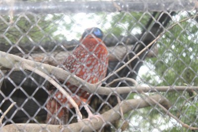 IMG_5787 (Small).JPG