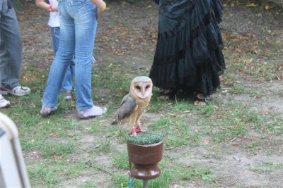 IMG_6041 (Small).JPG