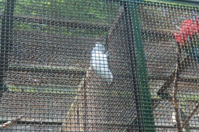 IMG_5824 (Small).JPG