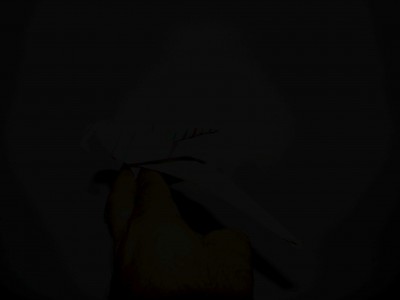 Copy of Copy of Picture 004.jpg