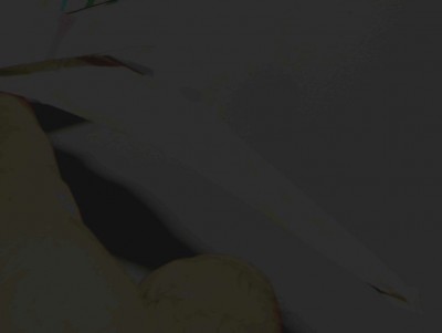 Copy of Picture 003זנב.jpg