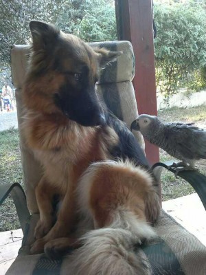 ליידי וג'וג'ו שלי :)