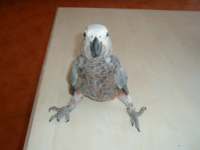 5.JPG