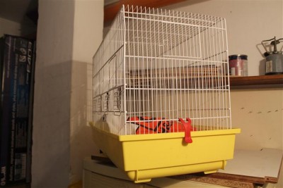 IMG_6246 (Small).JPG