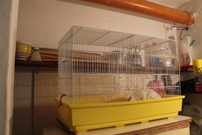 IMG_6247 (Small).JPG