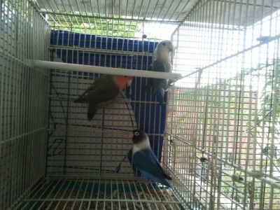 2012-09-20 07.17.59.jpg