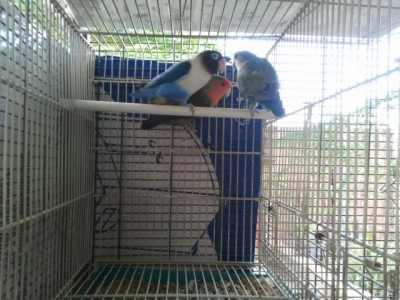 2012-09-20 07.18.38.jpg