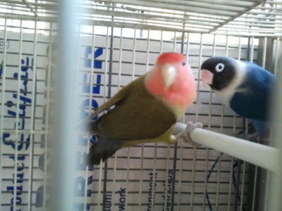 2012-09-20 07.19.34.jpg