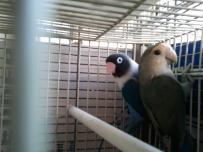 2012-09-20 07.19.23.jpg