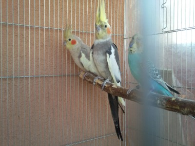 Photo014 (Large).jpg