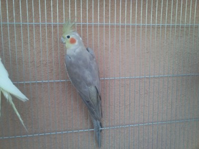 Photo019 (Large).jpg