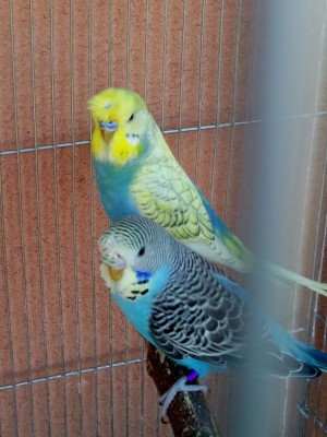 Photo022 (Large).jpg