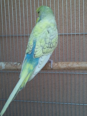 Photo019 (Large) (2).jpg