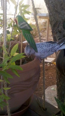 2012-10-05_10-13-39_301 copy.jpg