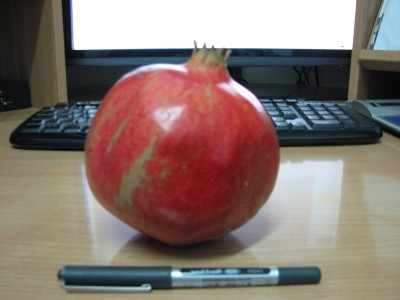 Picture 003.jpg
