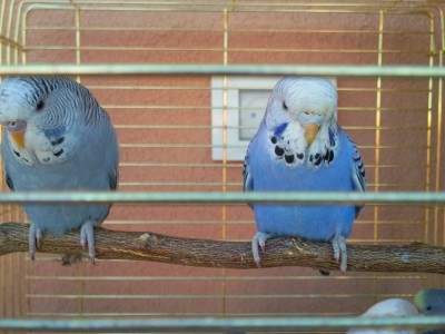 Photo016 (Large).jpg