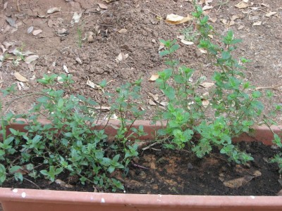 Picture 007.jpg