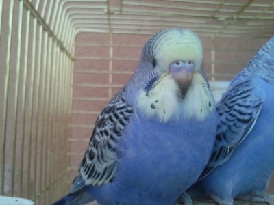 Photo024 (Large).jpg