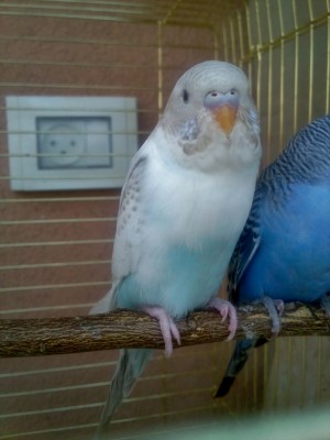 Photo029 (Large).jpg