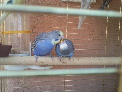 Photo031 (Large).jpg