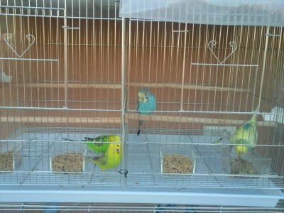 Photo023 (Large).jpg