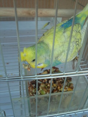 Photo021 (Large).jpg