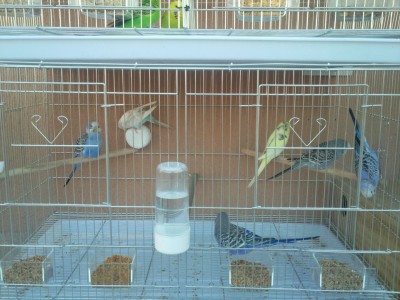 Photo025 (Large).jpg