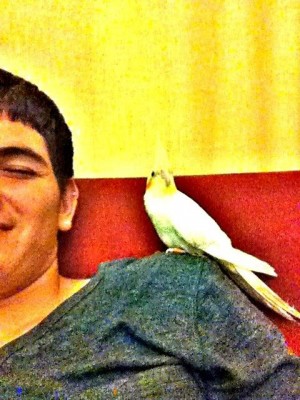 אני וקוקטייל שלי